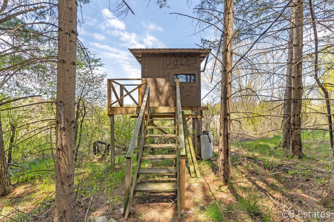 House in Big Rapids, Michigan, United States 4 - 17941294