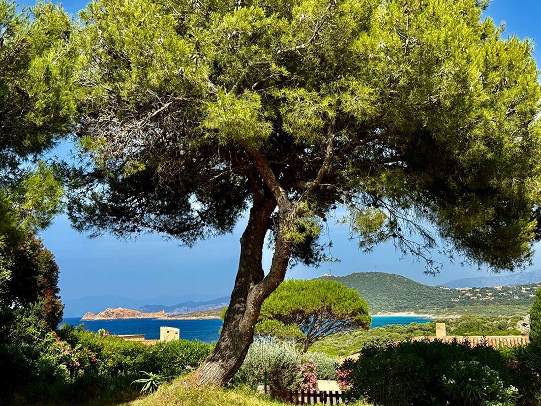 Villa in Corbara, Corsica, France 3 - 16404530