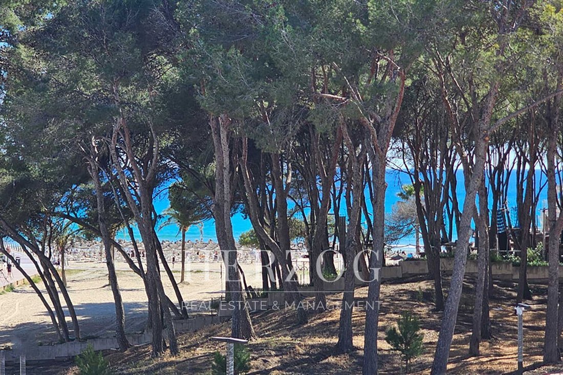 Apartment in Cala Fornells, Calvia, Balearic Islands 4 - 16256669