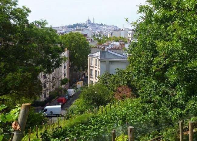Apartment in Montorgueil-Saint Denis, Paris 2e Arrondissement, Paris 5 - 16467010