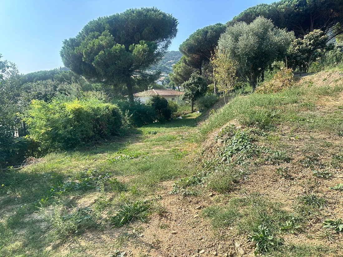 Land in Nord, Cavalaire-sur-Mer, France 2 - 16413135