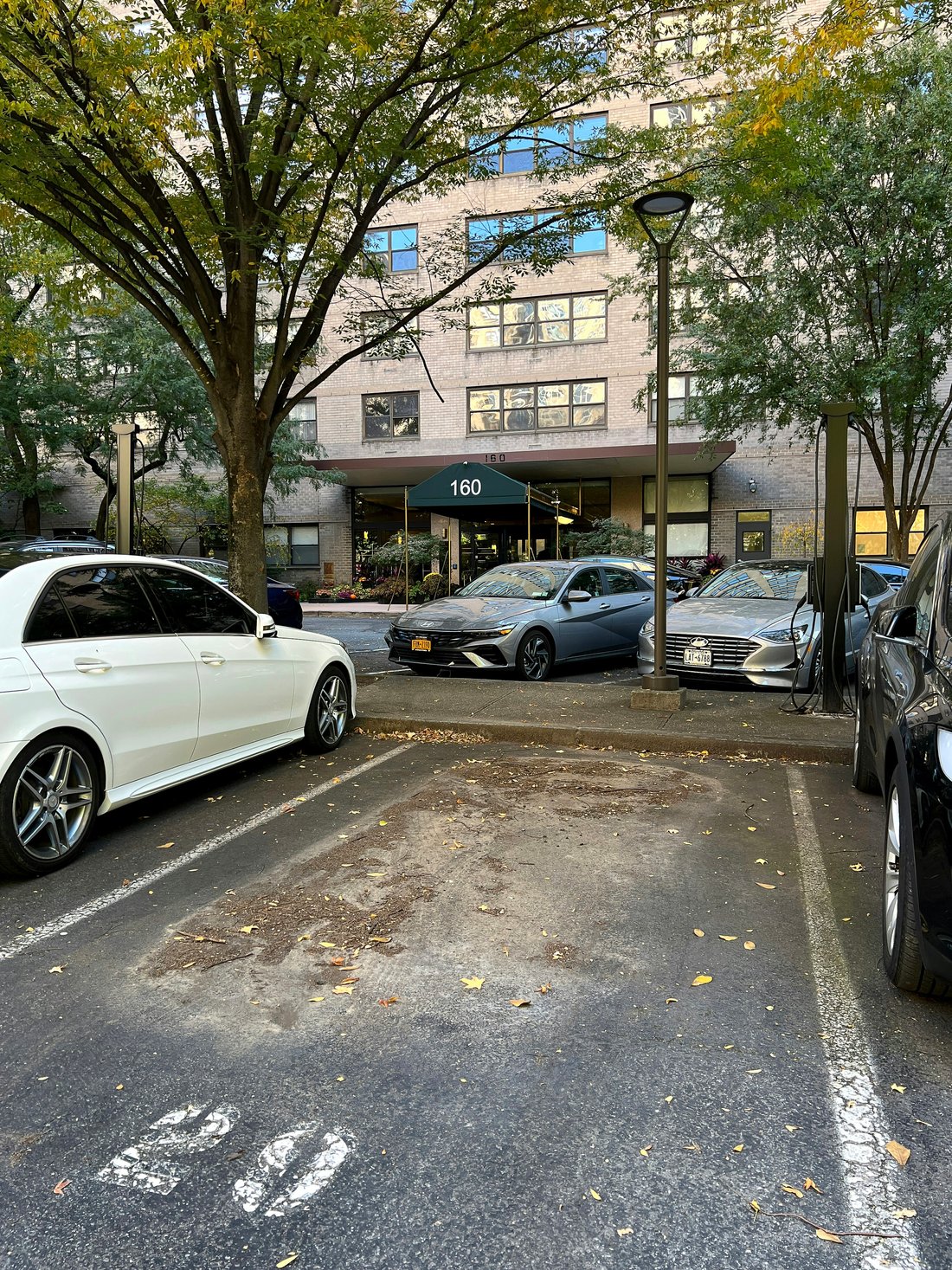 Co Op in New York, New York, United States 5 - 16816195