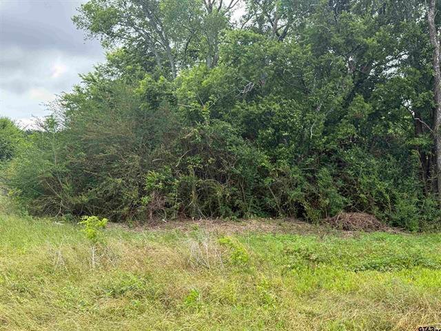 Land in Jacksonville, Texas, United States 4 - 17932172
