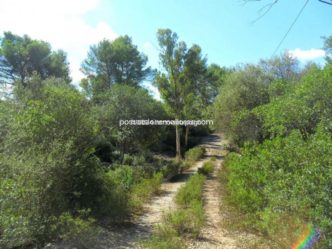 Land in Sencelles, Balearische Inseln, Spanien 5 - 17937146