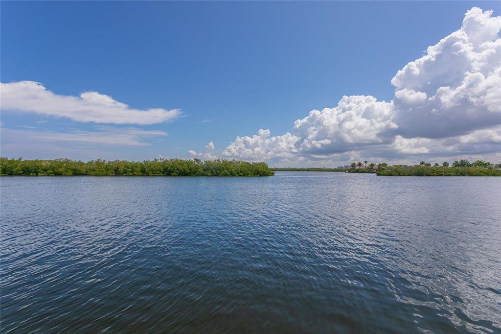House in New Port Richey, Florida, United States 5 - 17932427