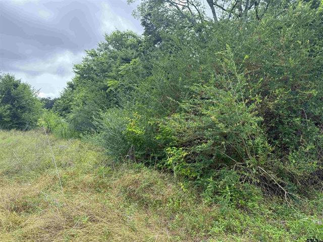 Land in Jacksonville, Texas, United States 5 - 17932172