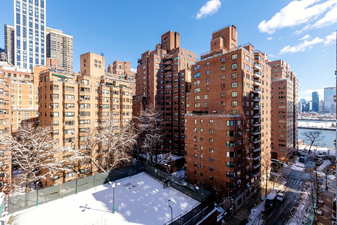 Co Op in New York, New York, United States 5 - 17351210