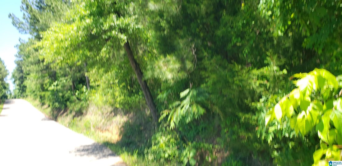 Land in Springville, Alabama, United States 2 - 17931513