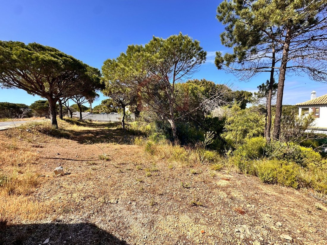 Land in Almancil, Algarve, Portugal 5 - 17930829