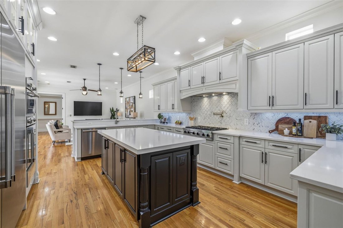 House in Tampa, Florida, United States 3 - 17935413