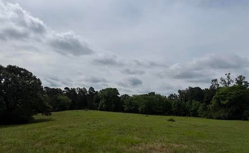 Land in Jacksonville, Texas, United States 1