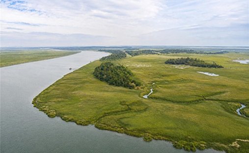 Land in Barbour Island, Georgia, United States 1