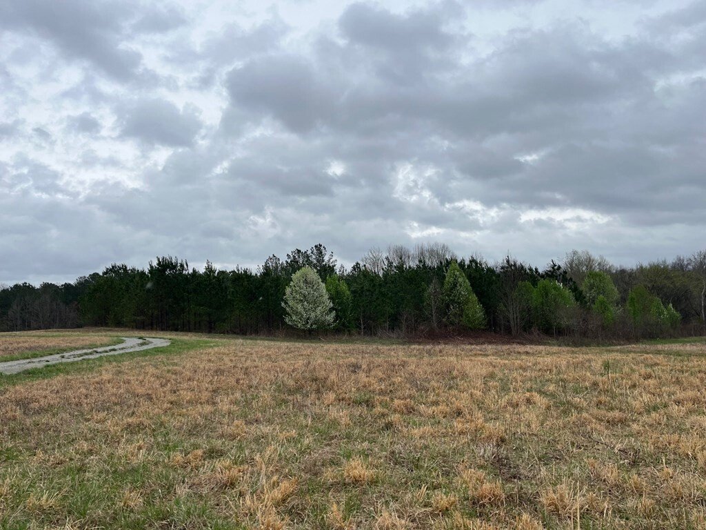 House in Henry, Tennessee, United States 2 - 17929050