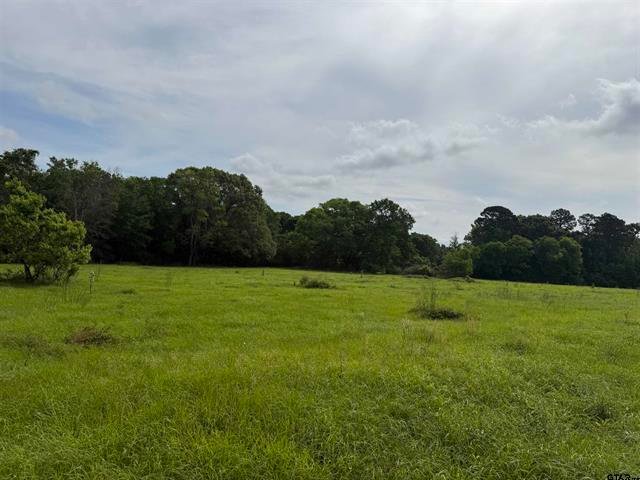 Land in Jacksonville, Texas, United States 5 - 17931560