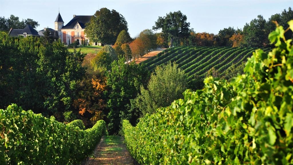 Farm Ranch in Sainte-Foy-la-Grande, Nouvelle-Aquitaine, France 5 - 12564869