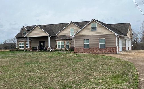 House in Henry, Tennessee, United States 1
