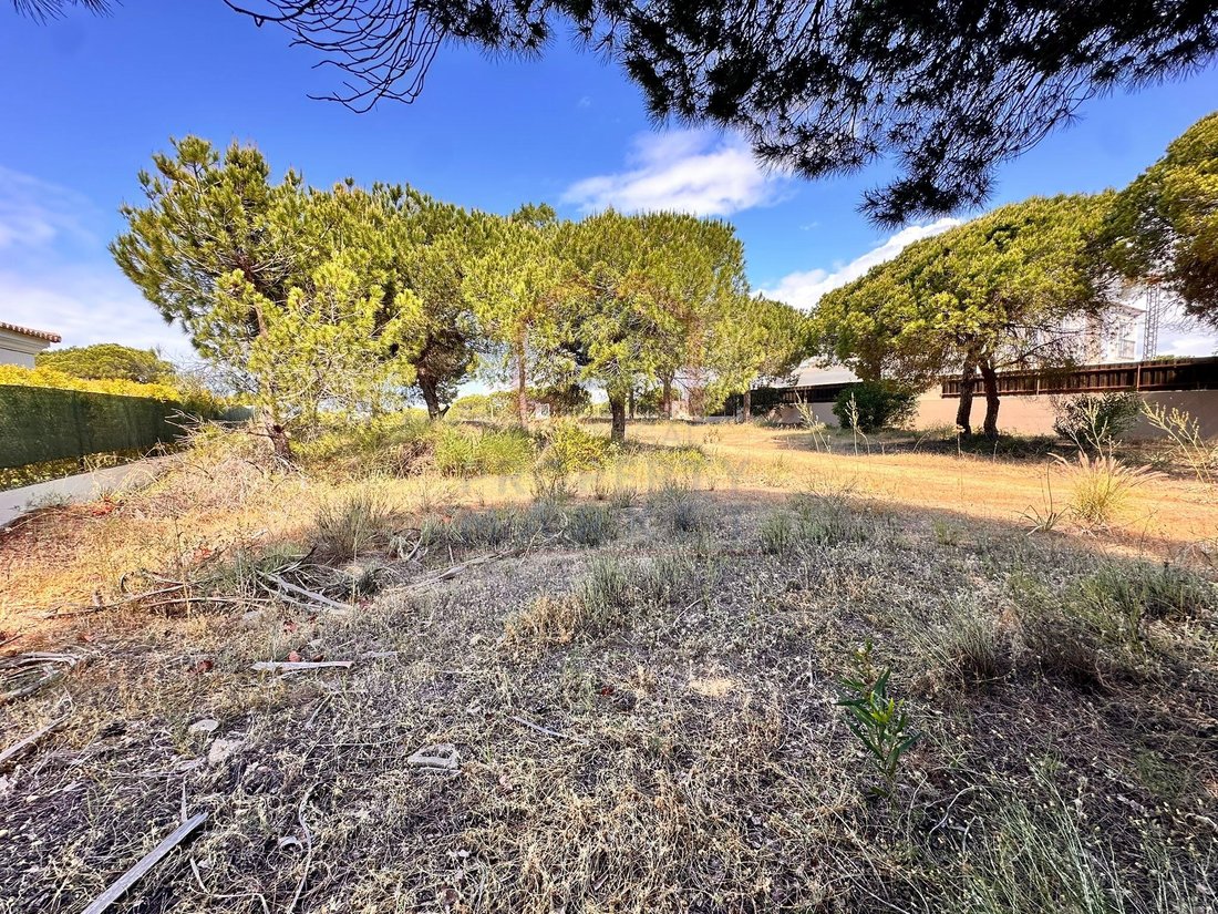 Land in Almancil, Algarve, Portugal 5 - 17930817
