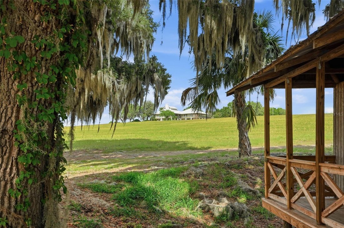 House in Dade City, Florida, United States 3 - 17943562