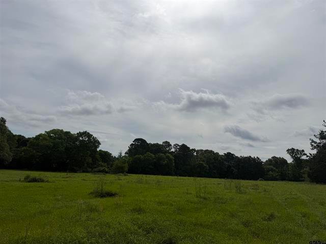 Land in Jacksonville, Texas, United States 4 - 17931560