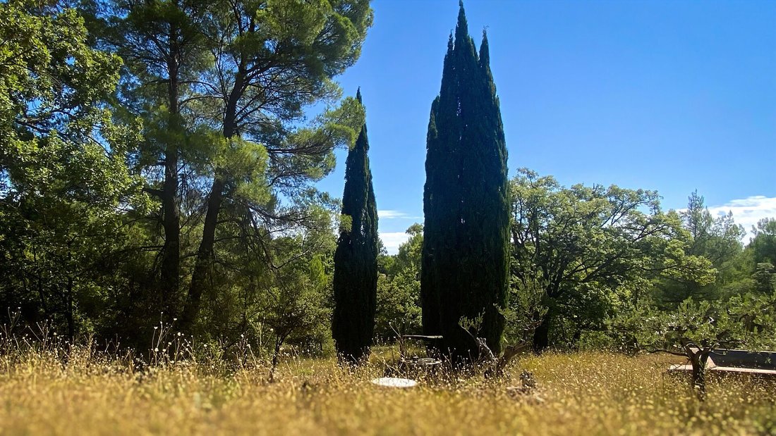 House in Tourtour, Provence-Alpes-Côte d'Azur, France 4 - 16279252