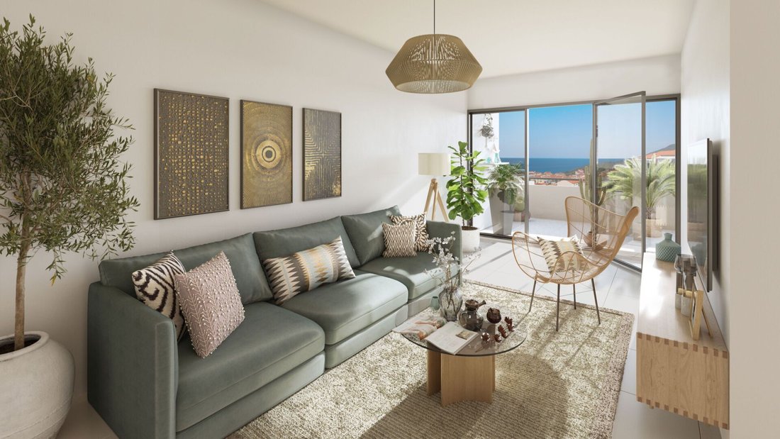 Apartment in Peripherie, Port-Vendres, France 3 - 17043170