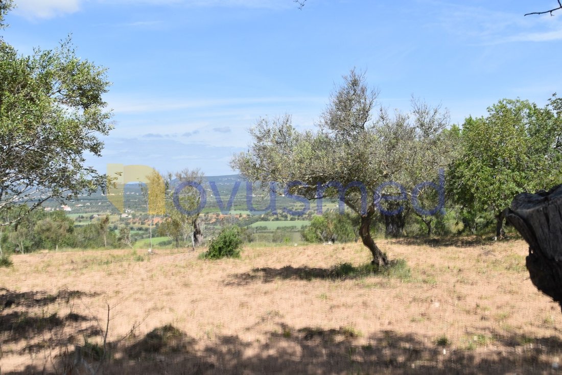 Land in Paderne, Algarve, Portugal 4 - 17937800
