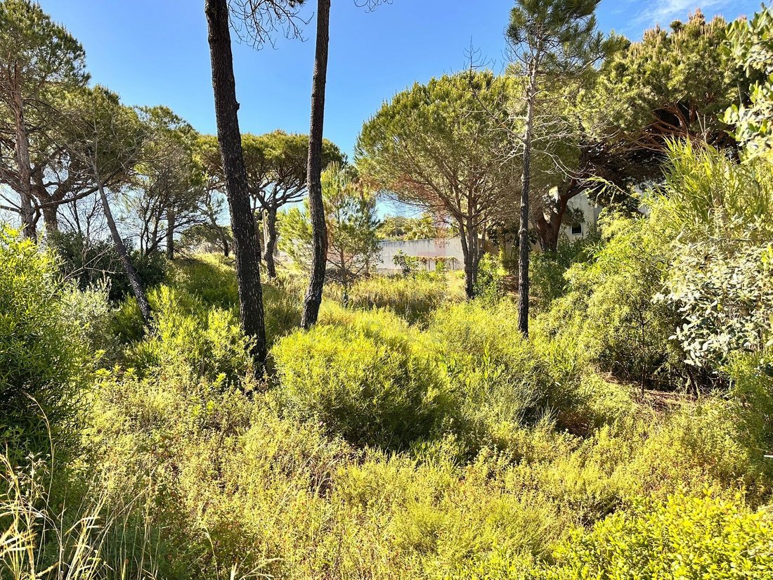 Land in Almancil, Algarve, Portugal 4 - 17930829