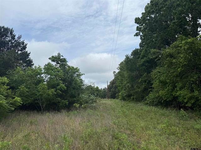 Land in Jacksonville, Texas, United States 2 - 17932172