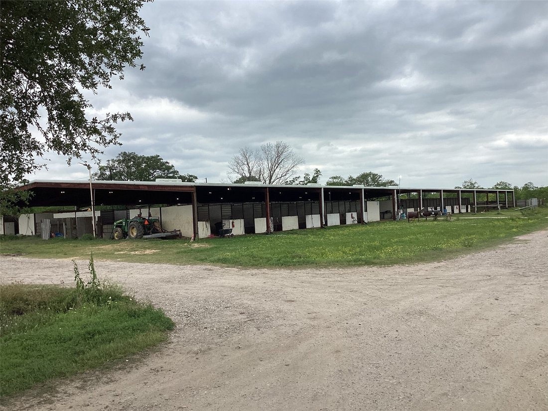 Farm Ranch in Hitchcock, Texas, United States 3 - 15509680
