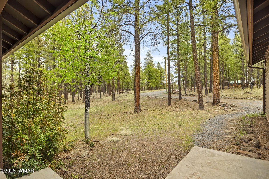House in Greer, Arizona, United States 5 - 17928253