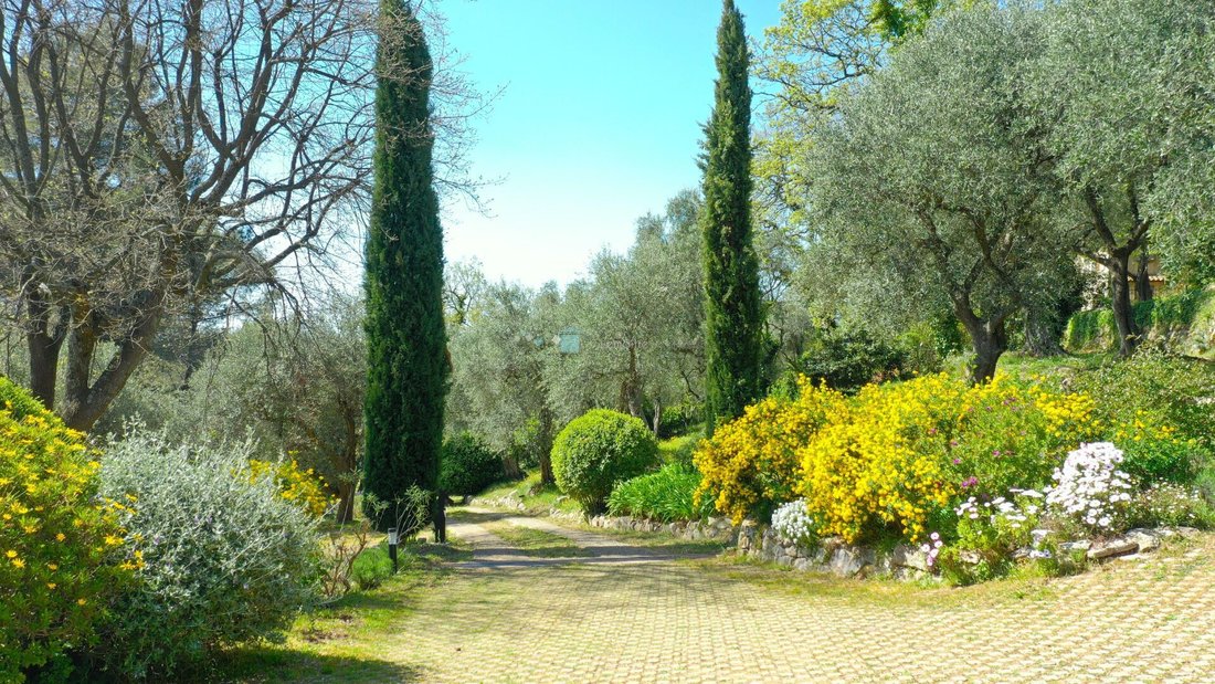 House in Grasse, Provence-Alpes-Côte d'Azur, France 5 - 16645303
