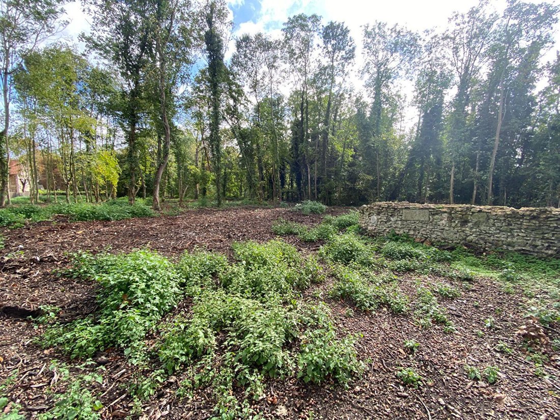 Land in Montfort-l'Amaury, Ile-de-France, France 4 - 17222141