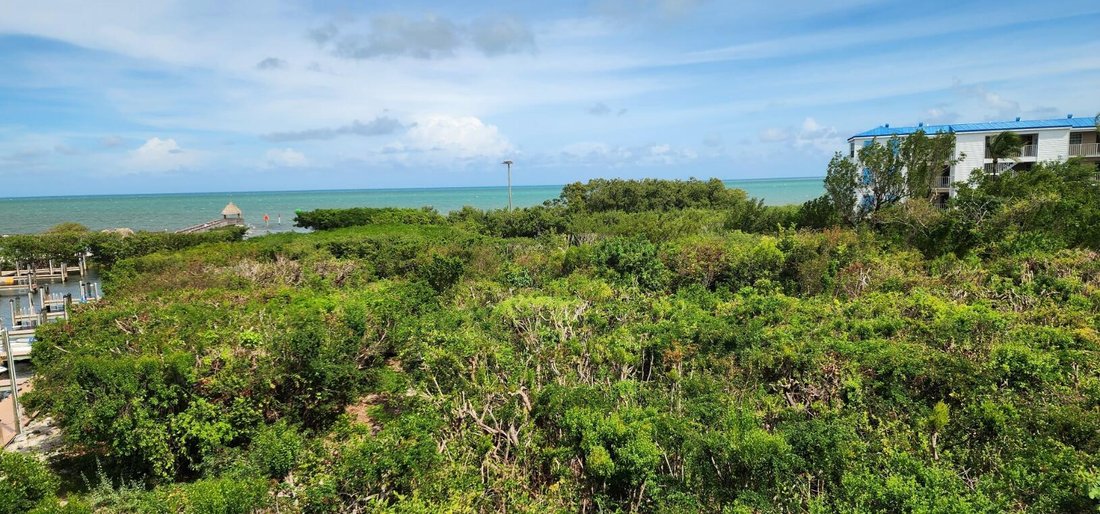 Condo in Tavernier, Florida, United States 4 - 17933834