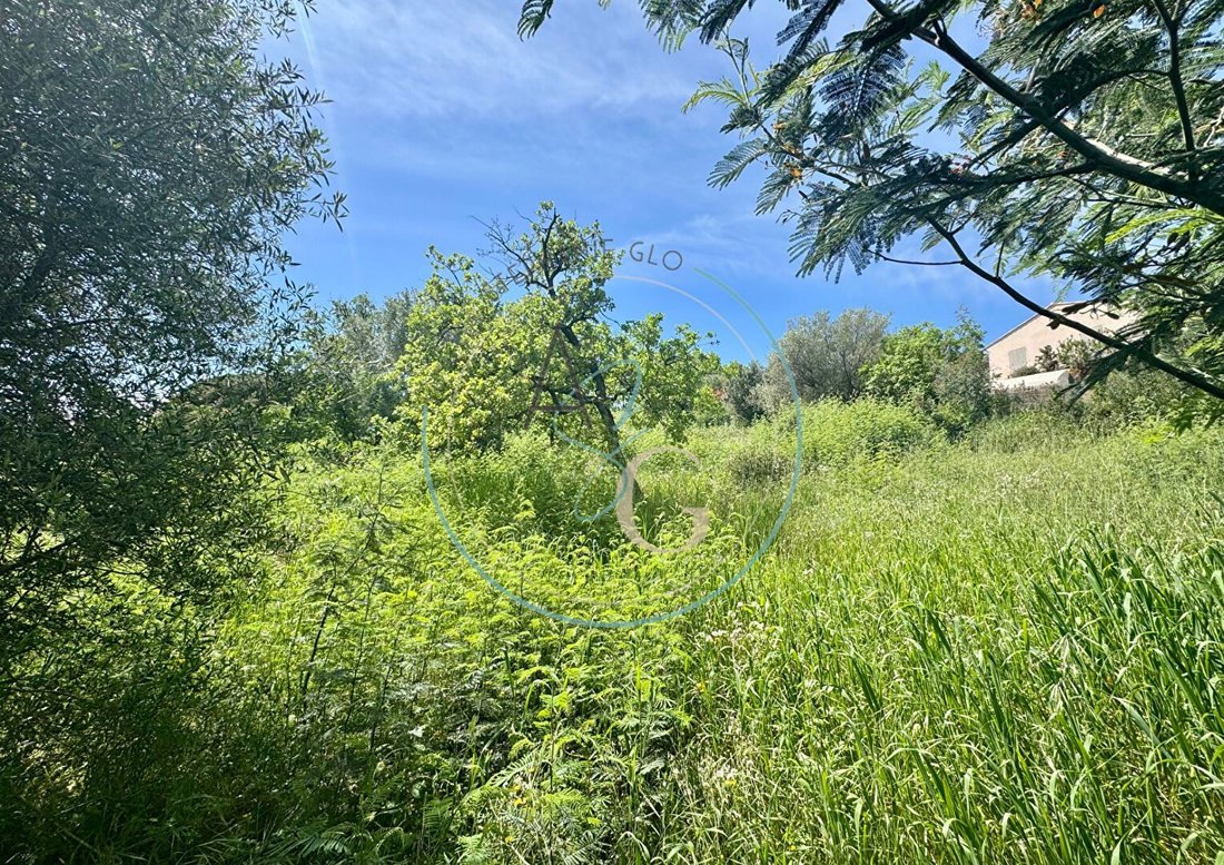Land in Grimaud, Provence-Alpes-Côte d'Azur, France 2 - 16497482