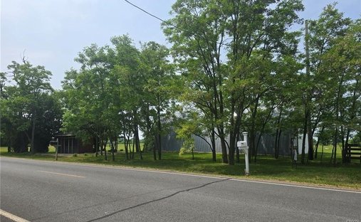 Land in Three Mile Bay, New York, United States 1