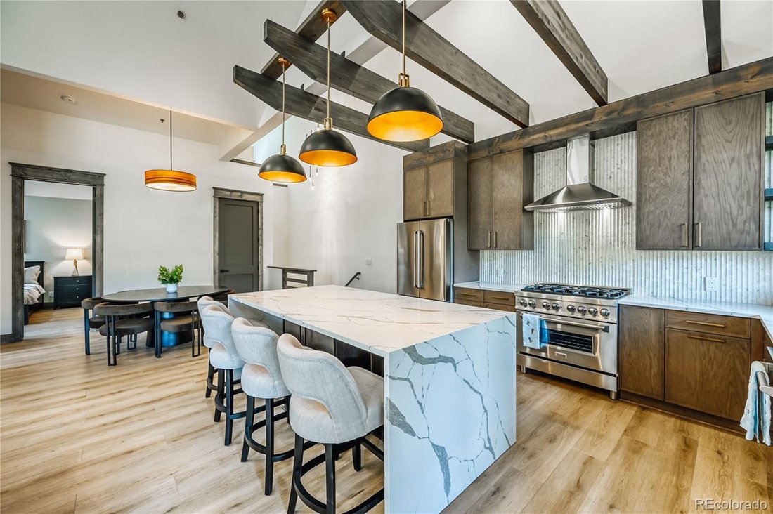 Condo in Dillon, Colorado, United States 1 - 16793720