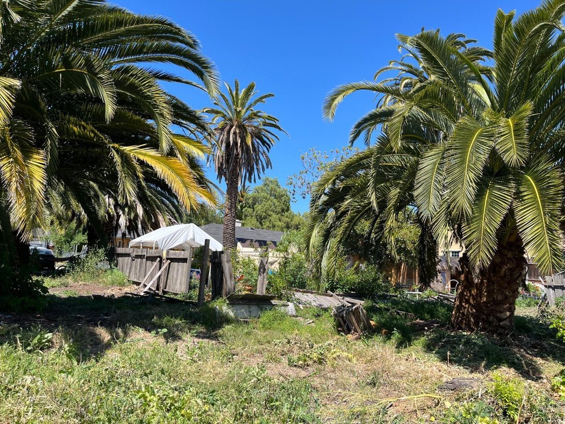 House in East Palo Alto, California, United States 5 - 17932940