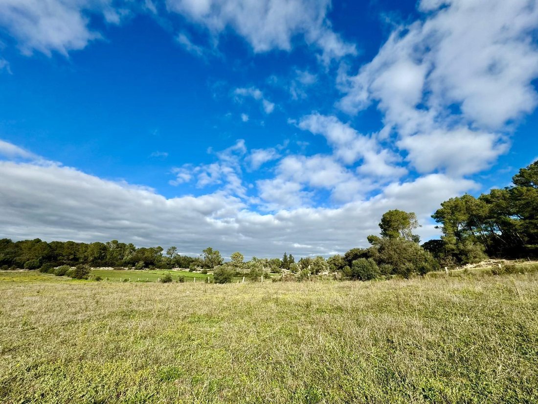 Land in Lloret de Vistalegre, Balearic Islands, Spain 5 - 17935154