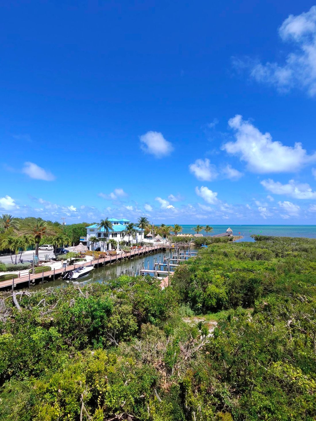 Condo in Tavernier, Florida, United States 1 - 17933834