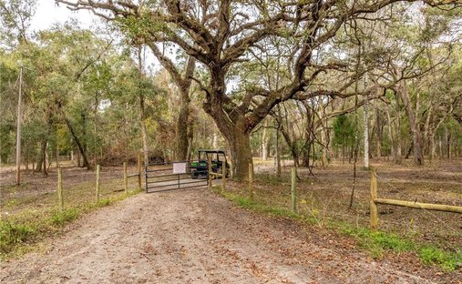 Land in South Brooksville, Florida, United States 1
