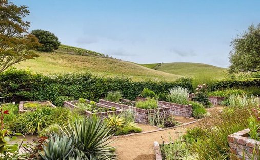 House in Napa, California, United States 1