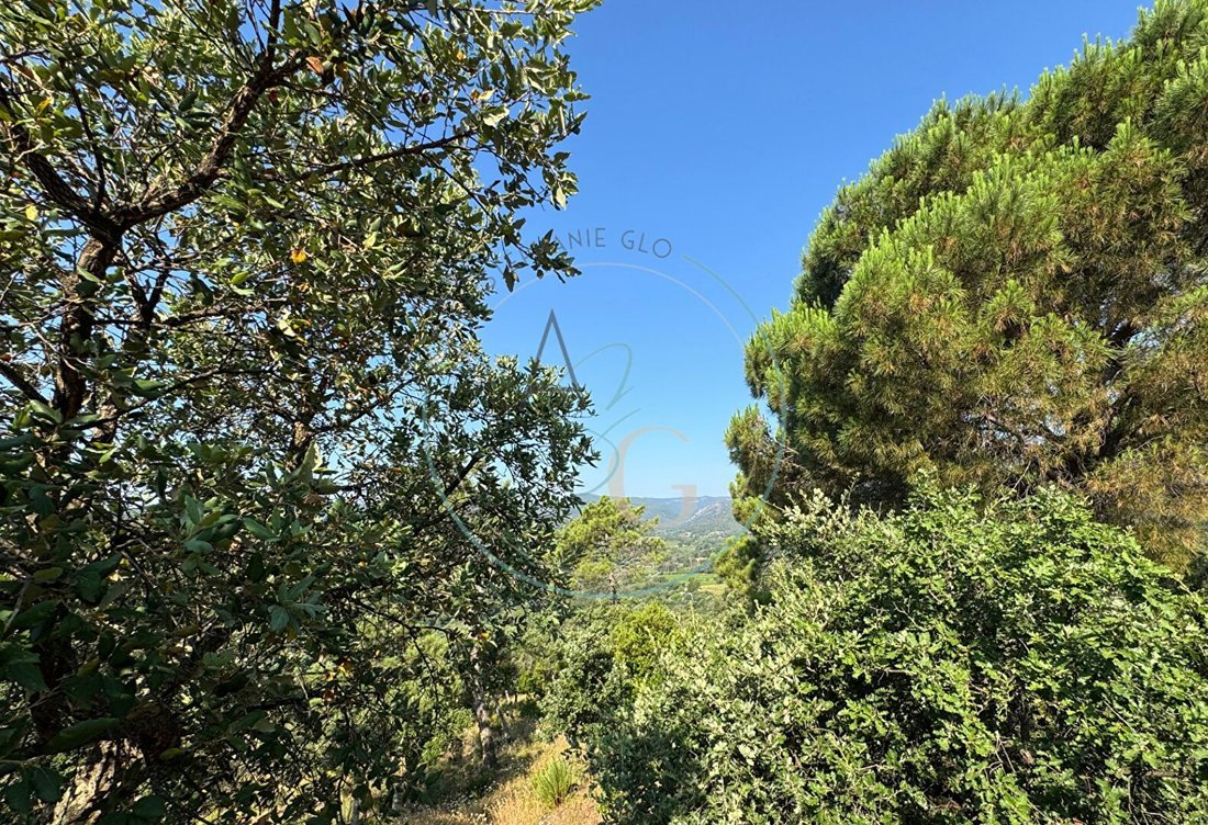 Land in Grimaud, Provence-Alpes-Côte d'Azur, France 1 - 16497355
