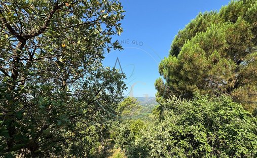 Land in Grimaud, Provence-Alpes-Côte d'Azur, France 1