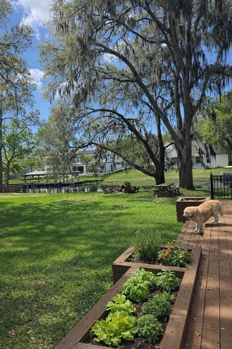House in Orlando, Florida, United States 4 - 17928891