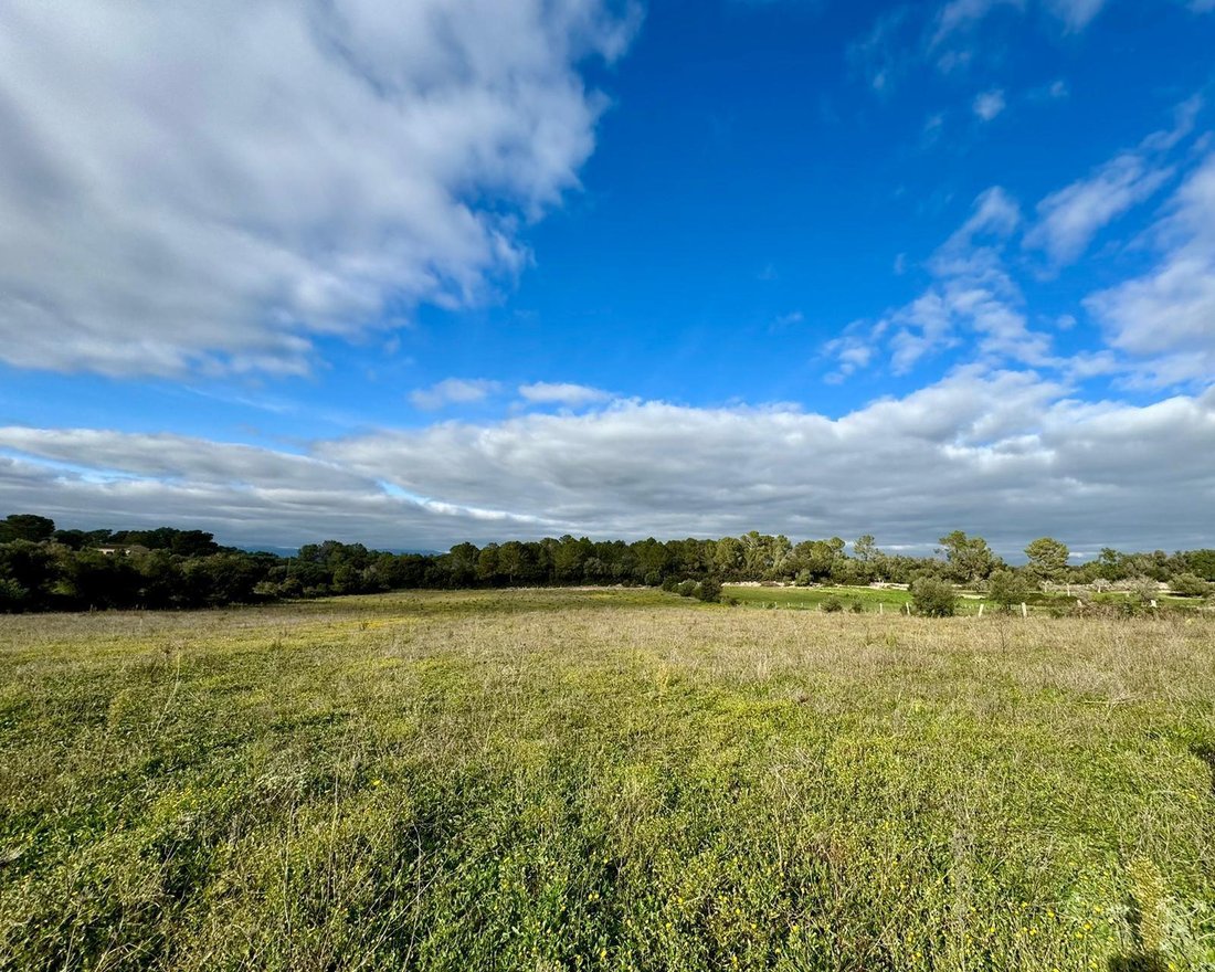 Land in Lloret de Vistalegre, Balearic Islands, Spain 4 - 17935154