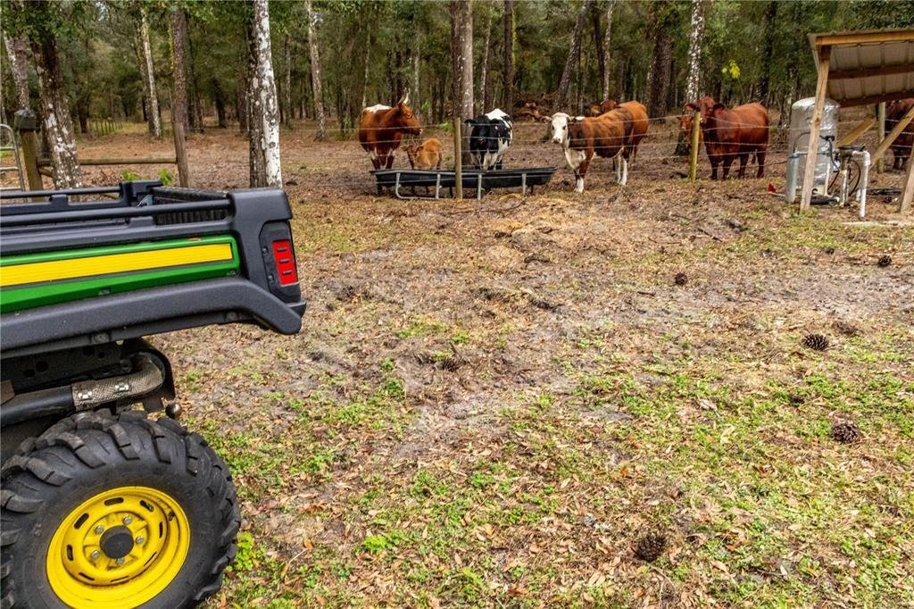 Land in South Brooksville, Florida, United States 2 - 17927953