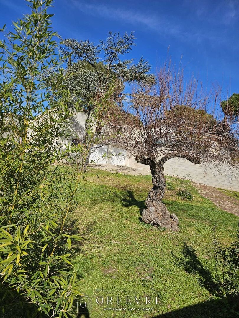 Land in Castelnau-le-Lez, Occitania, France 4 - 16130276