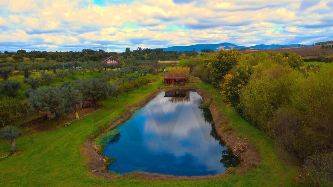 Farm Ranch in Vale de Prazeres e Mata da Rainha, Castelo Branco District, Portugal 2 - 17937104