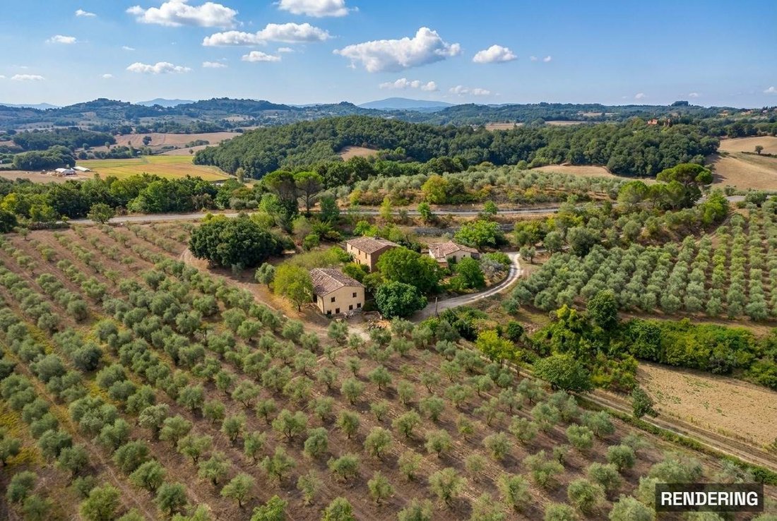 Otros en Chiusi, Toscana, Italia 1 - 12378229