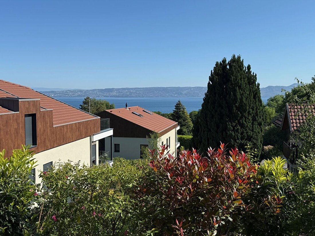 Apartment in Neuvecelle, Auvergne-Rhône-Alpes, France 4 - 15655624